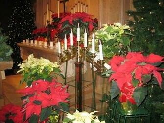 Christmas Candles Wallpaper For Desktops Xmas Lights Desktop Pictures