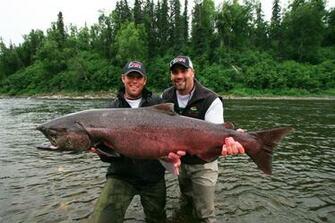 King Salmon Driverlayer Search Engine