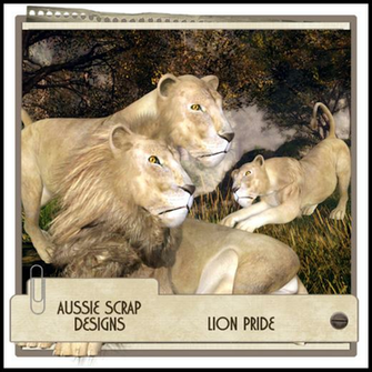 Image Lion And His Pride Pc Android iPhone iPad Wallpaper