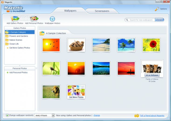 Magentic S Main Window Shows The Wallpaper Tab That