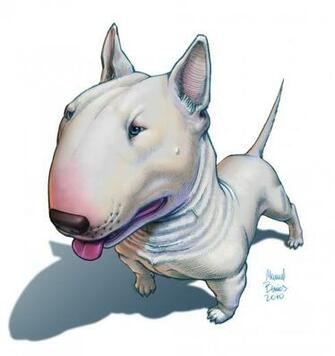 Bull Terrier Wallpaper Widescreen 6353c98 4usky
