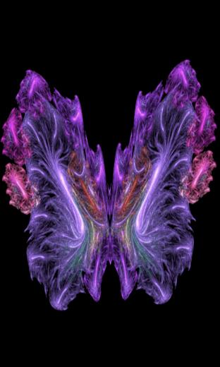 Butterfly Screensaver Wallpaper480x800 Wallpaper