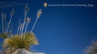 Wallpaper Guadalupe Mountains National Park U S