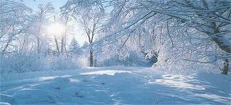 Beautiful Winter Wallpaper All Are In
