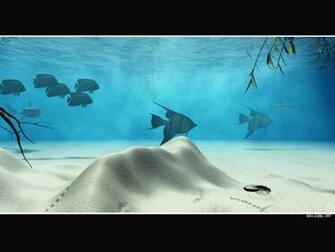 Cool Fish Wallpaper