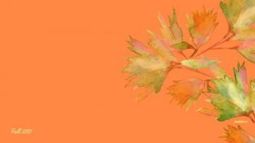 Best Fall Wallpaper HD For Desktop