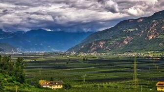 Pictures Italy Bolzano Nature Mountain Fields Landscape