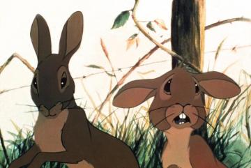 Watership Down HD Wallpaper Background Image