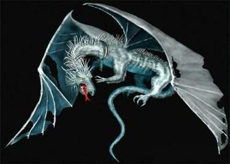 Cool Dragons Wallpaper Dragon
