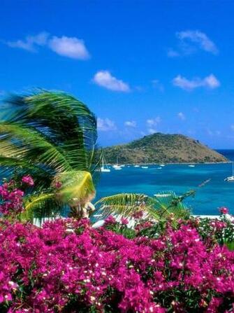 St Martin Sint Maarten French Beach Beautiful