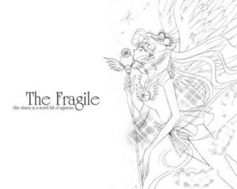 Sailor Cosmos Nin Wallpaper By Gimballock