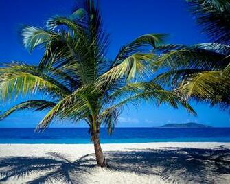 Travel Caribbean Beach Laptop Wallpaper Topwallpaper