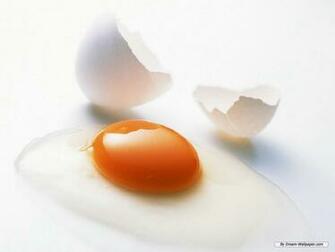 Egg Wallpaper HD Background Image Pics Photos