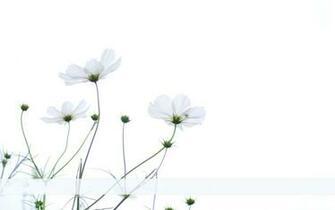 Simple Desktops