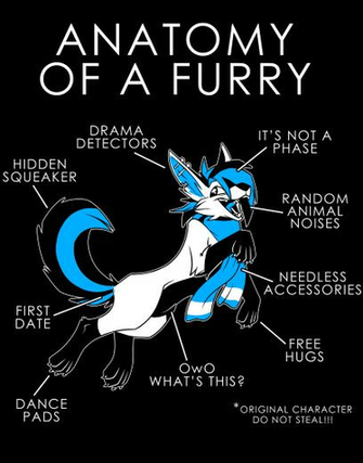 Anatomy Of A Furry Artworktee