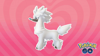Furfrou Pokemon G O Promotional Artwork Wallpaper