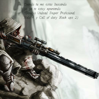 Bo2 Sniper Wallpaper Normal Snipers