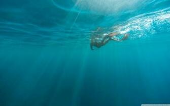 Snorkeling Wallpaper And Background Image Net