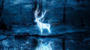 Take Pottermore S New Patronus Quiz To Find Out If You Re A