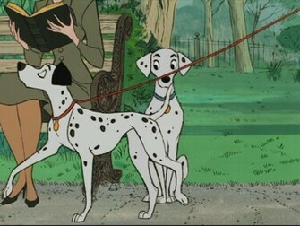 Dalmatians Image Wallpaper Photos