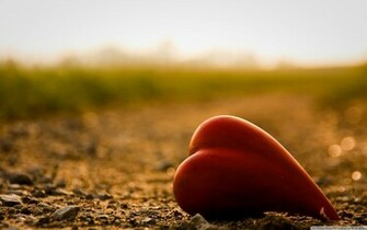 Loneliness Wallpaper And Image Pictures Photos