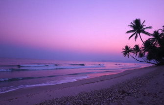 Purple Beach Wallpaper