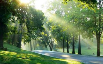 Image Detail For Spring Morning Pictures Beautiful