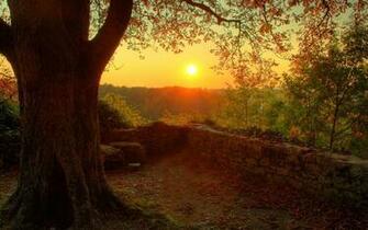 Autumn Sunset Scenery Background For Desktop Wide Wallpaper