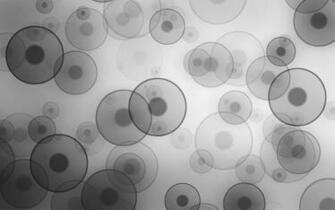 Dots And Circles Grey Wallpaper