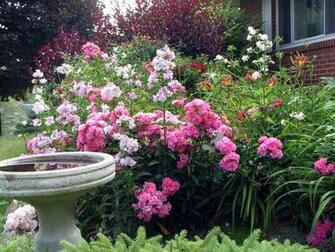 Rose Garden Wallpaper