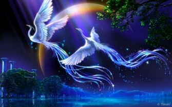 Birds Of Paradise Computer Wallpaper Desktop Background