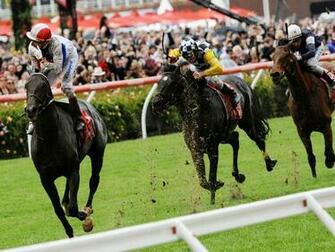 Top Amazing And Dashing Horse Racing Wallpaper In HD HDhut