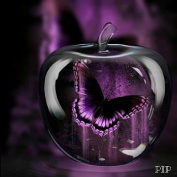 Butterfly In An Apple Floral Wallpaper iPhone Flower Phone