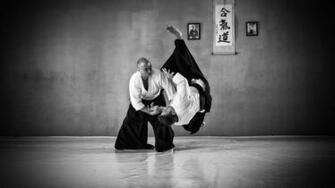 Aikido Wallpaper High Quality