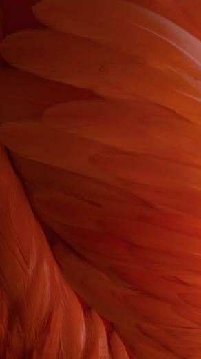 Now The Ios Wallpaper