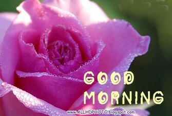 Good Morning New Wallpaper Galerry