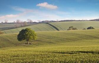 Samsung Galaxy Screensaver Landscapes Wallpaper To