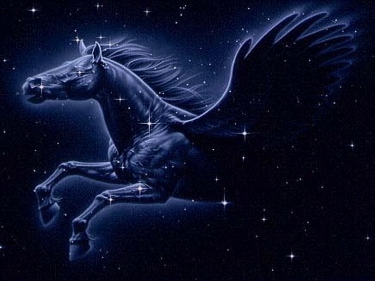 Pegasus Constellation Anj And Jezzi The Aries Twins Wallpaper