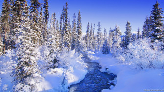 Winter Scene Leading The Canadian Industry In Dynamic Event