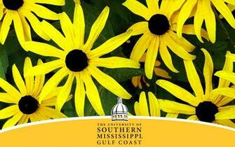 Wallpaper The University Of Southern Mississippi Gulf Coast