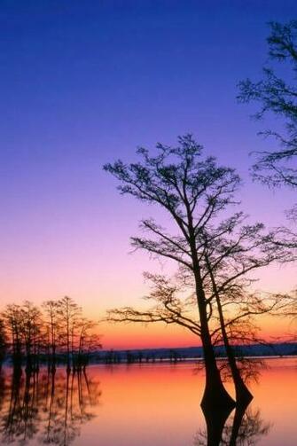 Nice Landscape iPhone Wallpaper