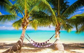 Tropical Beach Hammock 4k HD Desktop Wallpaper For Ultra
