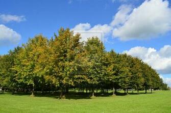 My New Windows Desktop Wallpaper By F2b3