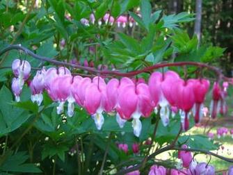 April Showers Bring May Flowers