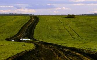 Country Road Wallpaper