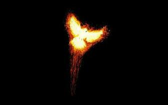 Phoenix Bird Wallpaper Net