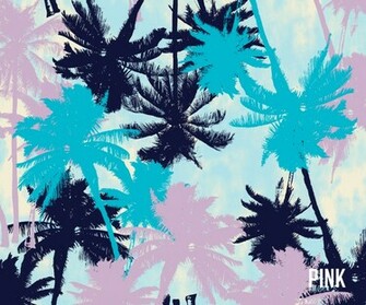 Palmtrees Jpg