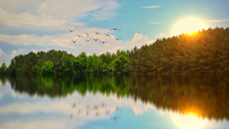 Beautiful Lake Birds Flying 4k HD Wallpaper Image Photos And Picture