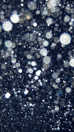 Glitter iPhone Wallpaper HD Walls Find