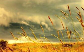 Green Fields HD Wallpaper Fergus United Pentecostal Church